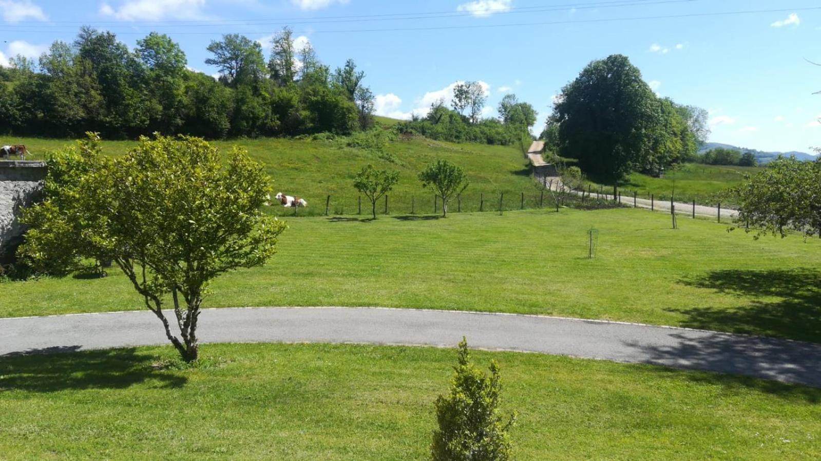 Gite De L'Ancheronne 12 Couchages Spa Lavans-sur-Valouse エクステリア 写真