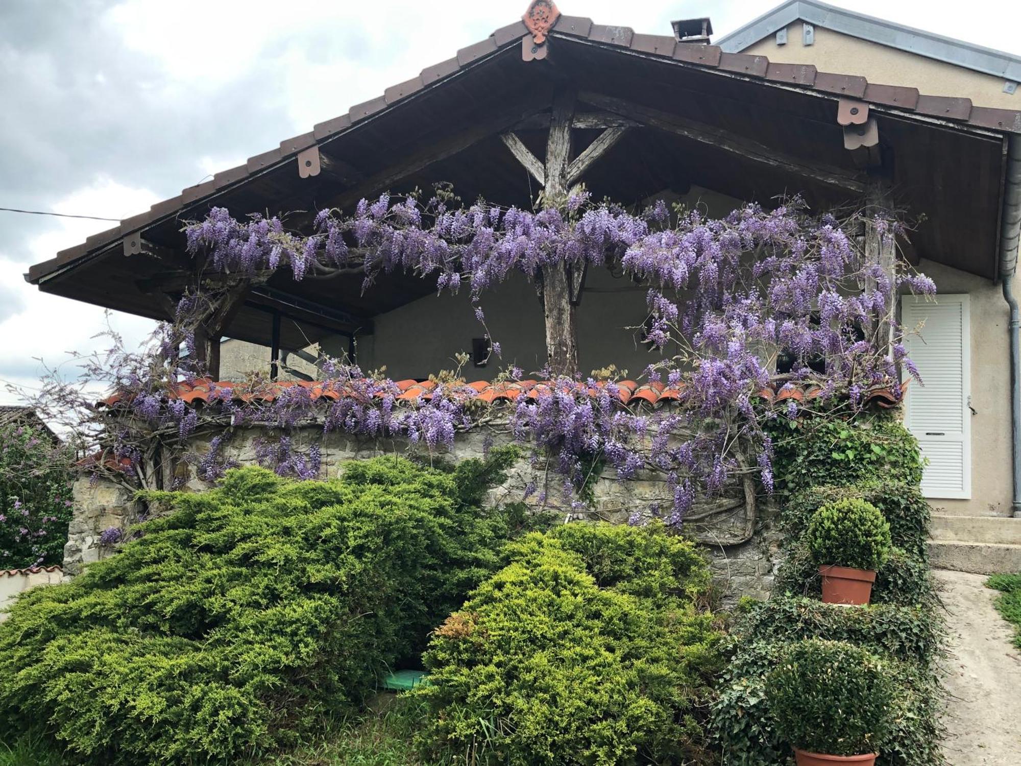 Gite De L'Ancheronne 12 Couchages Spa Lavans-sur-Valouse エクステリア 写真