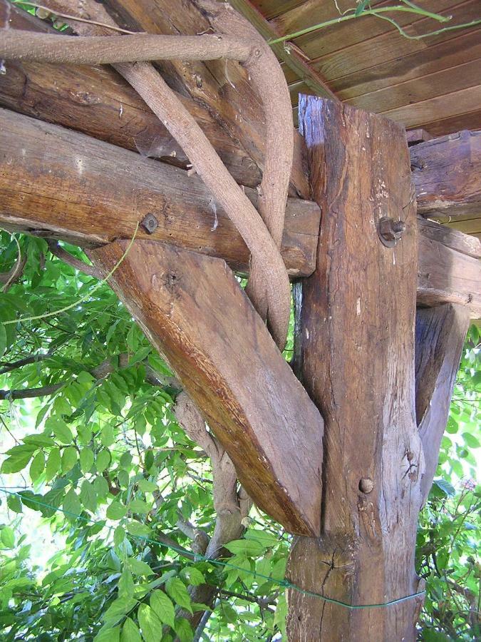 Gite De L'Ancheronne 12 Couchages Spa Lavans-sur-Valouse エクステリア 写真